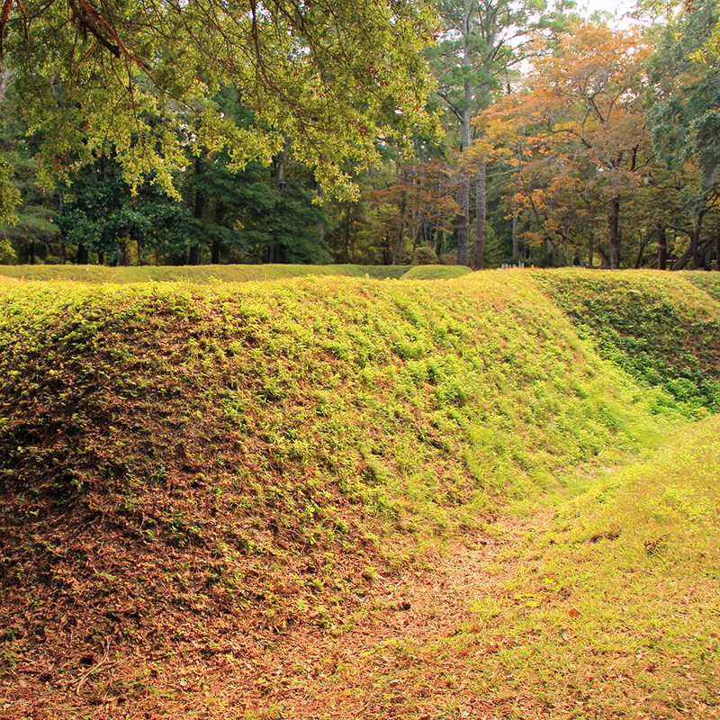 fort raleigh earth fort