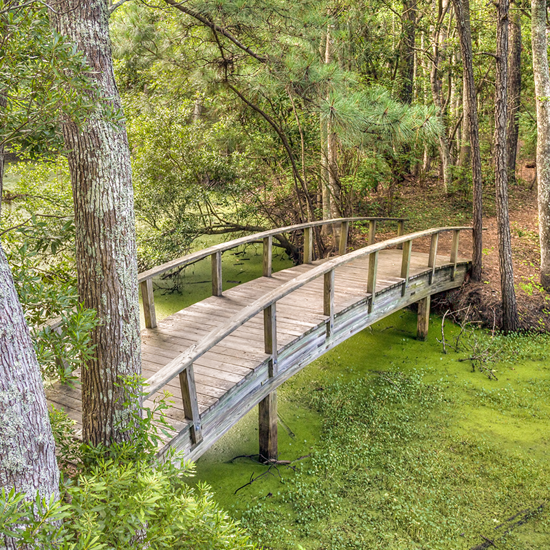 nags head woods